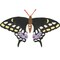 Black Swallowtail Butterfly Wall Stencil | 2686 by Designer Stencils | Animal & Nature Stencils | Reusable Art Craft Stencils for Painting on Walls, Canvas, Wood | Reusable Plastic Paint Stencil for Home Makeover | Easy to Use & Clean Art Stencil